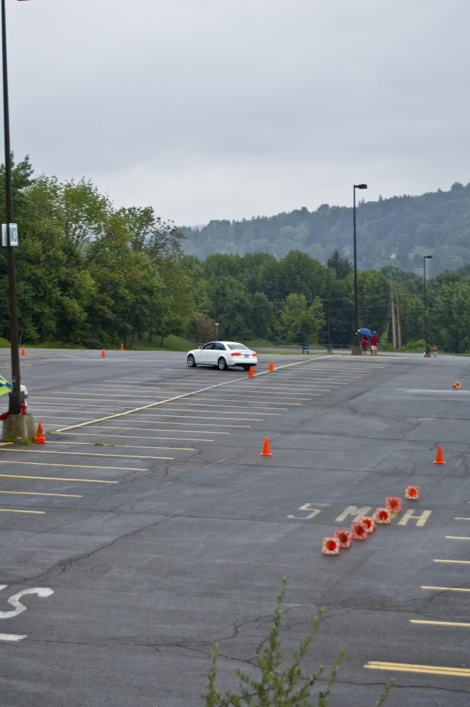 Name:  DSC_0165.jpg
Views: 23
Size:  88.4 KB