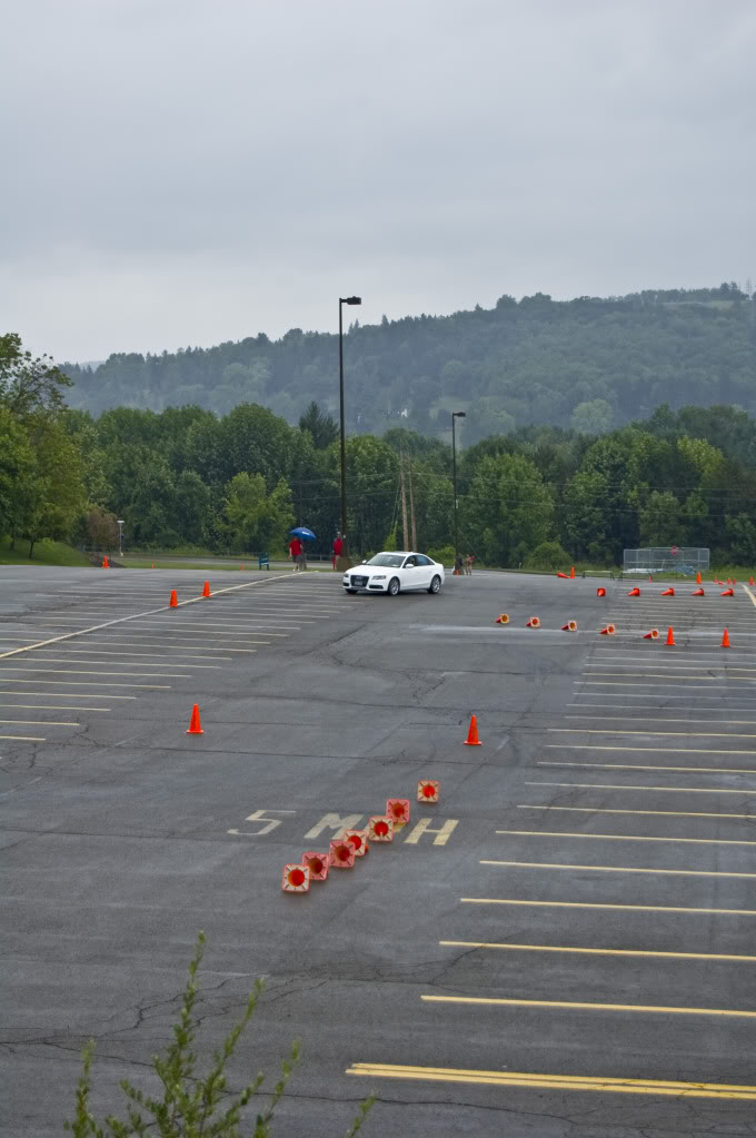 Name:  DSC_0167.jpg
Views: 30
Size:  94.4 KB