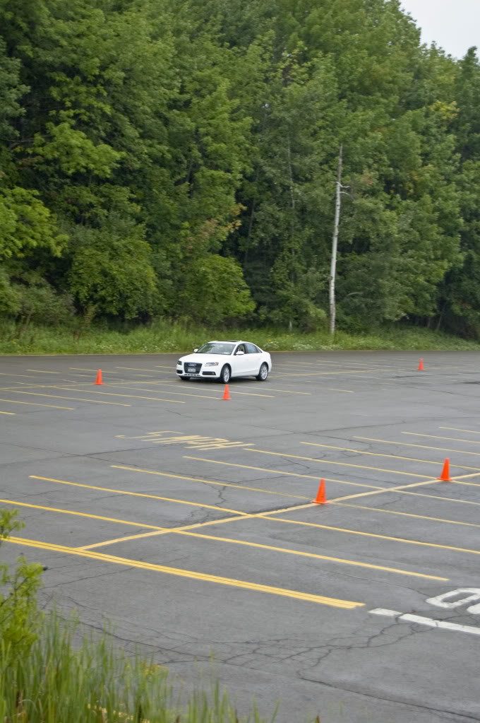 Name:  DSC_0168.jpg
Views: 31
Size:  129.4 KB