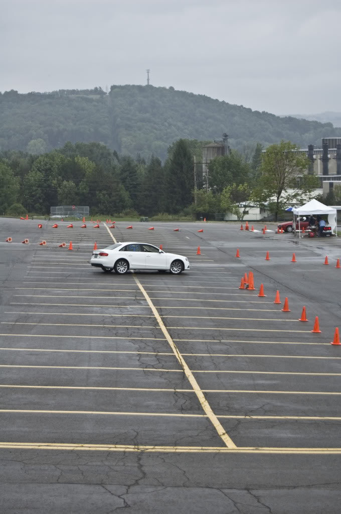 Name:  DSC_0169.jpg
Views: 41
Size:  101.0 KB