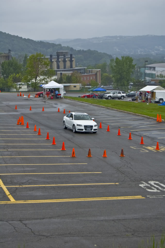 Name:  DSC_0170.jpg
Views: 27
Size:  105.7 KB