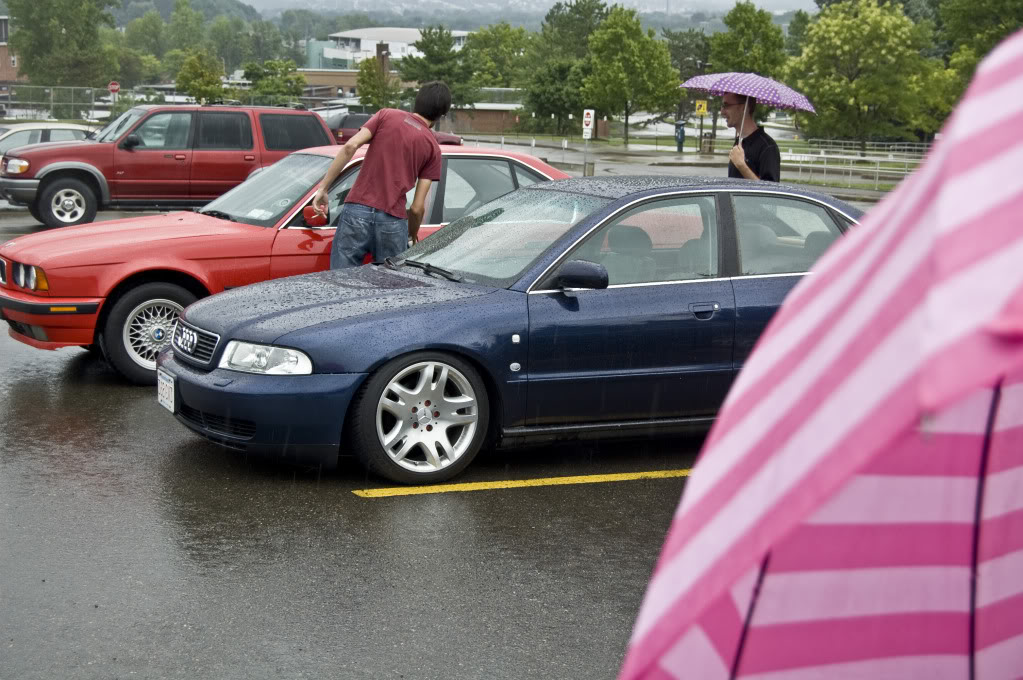 Name:  DSC_0172.jpg
Views: 27
Size:  157.7 KB