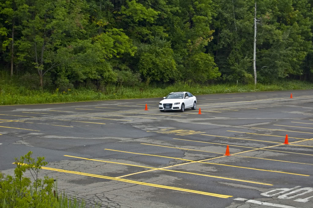 Name:  DSC_0143.jpg
Views: 35
Size:  180.5 KB