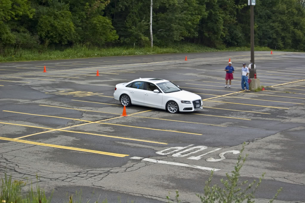 Name:  DSC_0144.jpg
Views: 29
Size:  153.1 KB