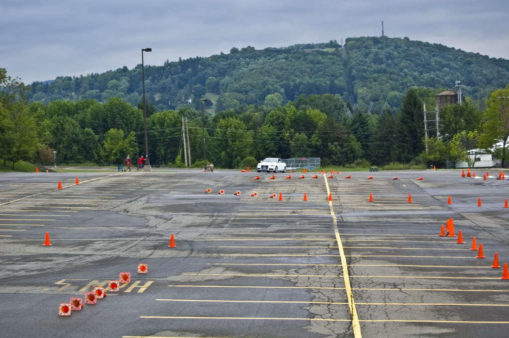 Name:  DSC_0146.jpg
Views: 28
Size:  151.0 KB