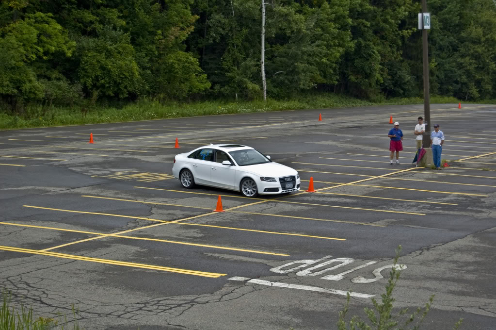 Name:  DSC_0148.jpg
Views: 53
Size:  166.6 KB