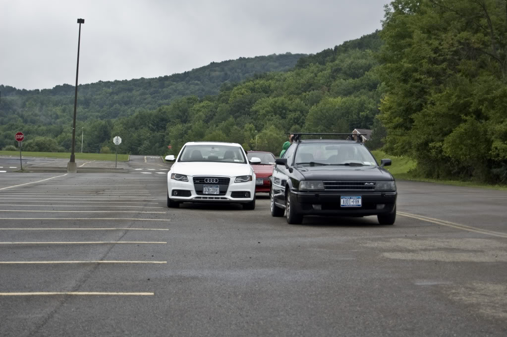 Name:  DSC_0151.jpg
Views: 22
Size:  114.7 KB