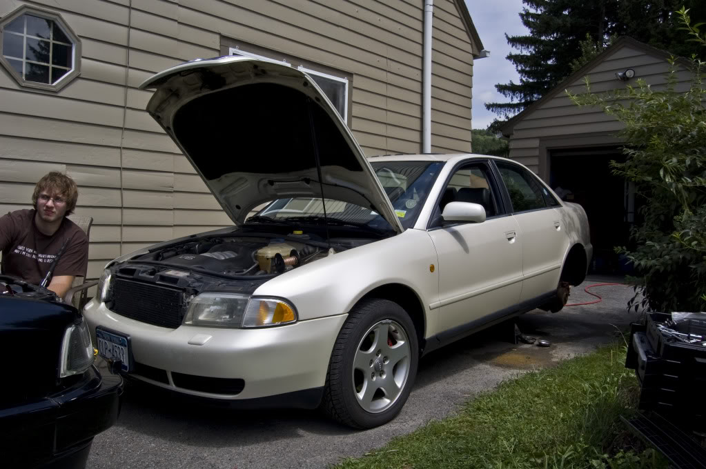 Name:  DSC_0113.jpg
Views: 27
Size:  137.9 KB