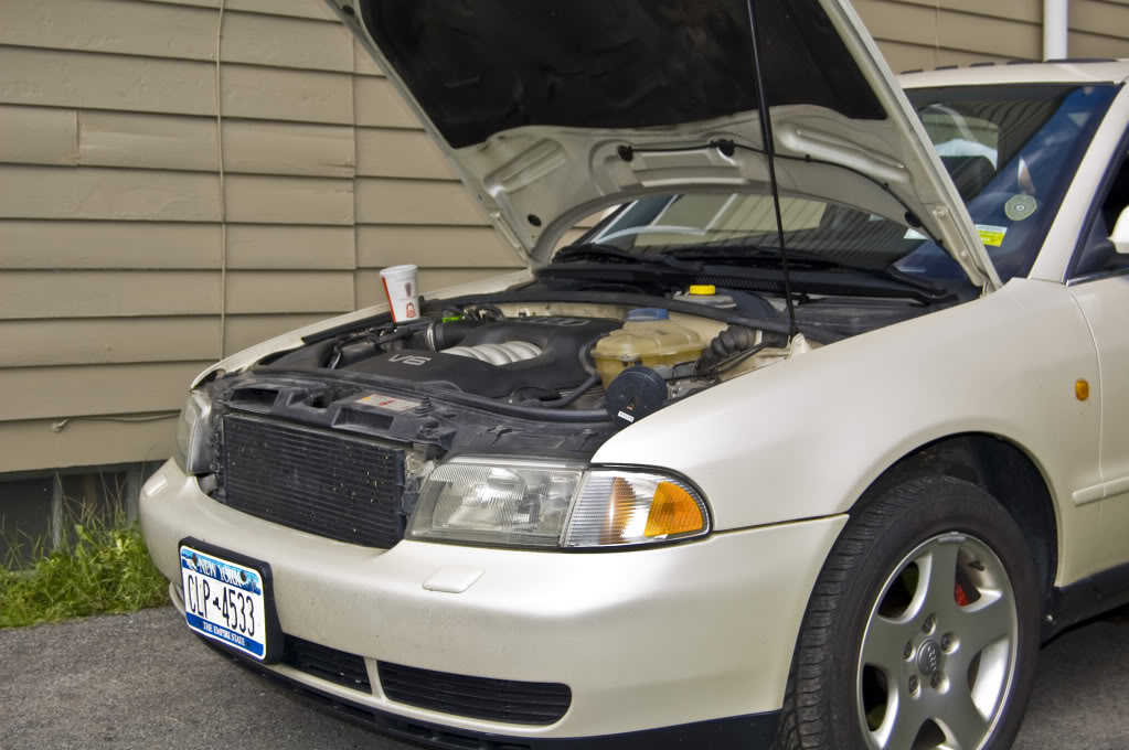 Name:  DSC_0118.jpg
Views: 26
Size:  110.9 KB