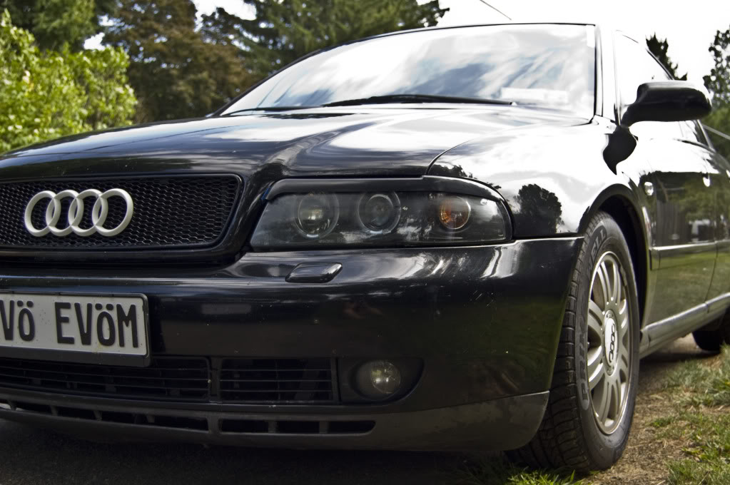 Name:  DSC_0121.jpg
Views: 51
Size:  119.4 KB