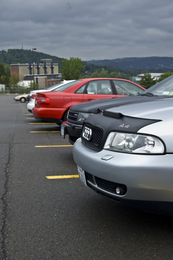 Name:  DSC_0133.jpg
Views: 26
Size:  110.6 KB