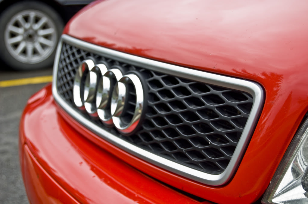 Name:  DSC_0135.jpg
Views: 29
Size:  122.7 KB