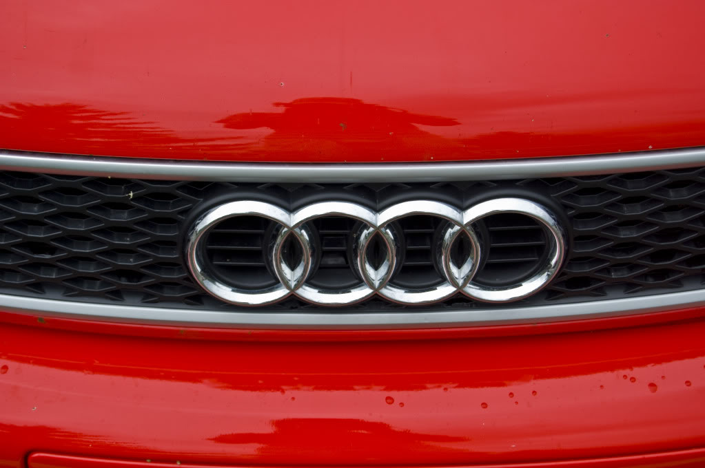 Name:  DSC_0136.jpg
Views: 24
Size:  83.3 KB