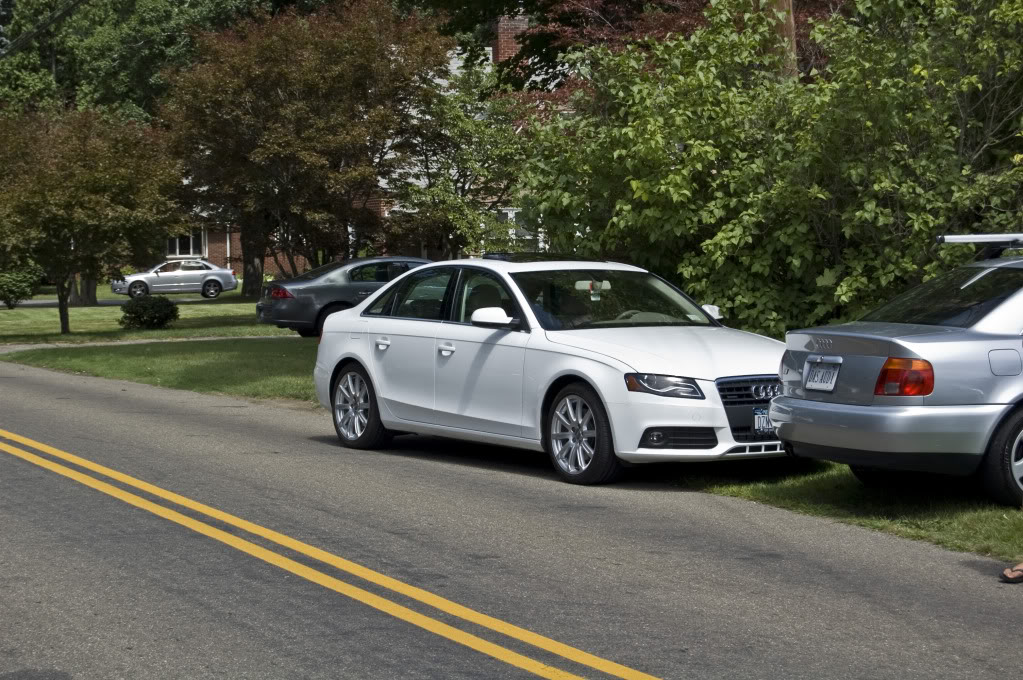 Name:  DSC_0099.jpg
Views: 47
Size:  199.7 KB