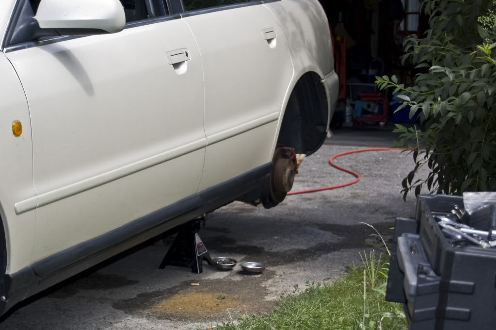 Name:  DSC_0111.jpg
Views: 46
Size:  94.8 KB