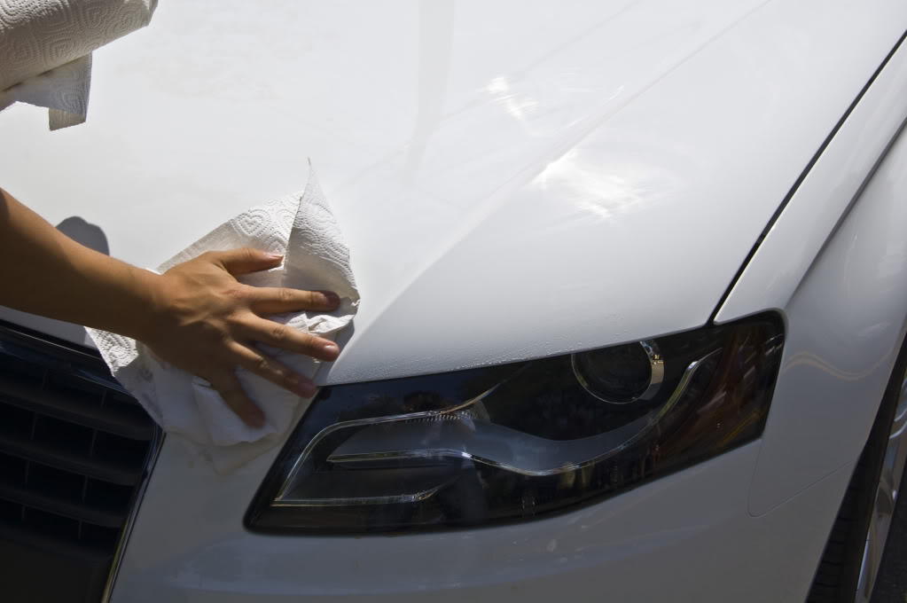 Name:  DSC_0050.jpg
Views: 29
Size:  57.5 KB