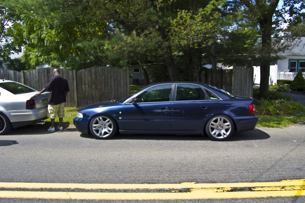 Name:  DSC_0053.jpg
Views: 37
Size:  187.7 KB