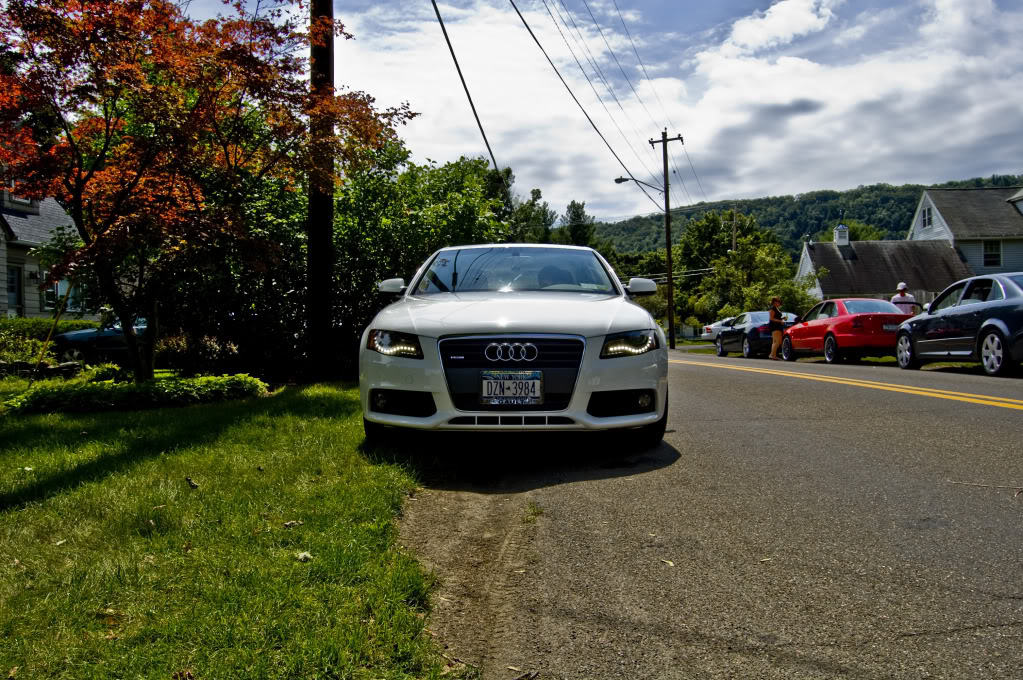 Name:  DSC_0081.jpg
Views: 28
Size:  242.2 KB