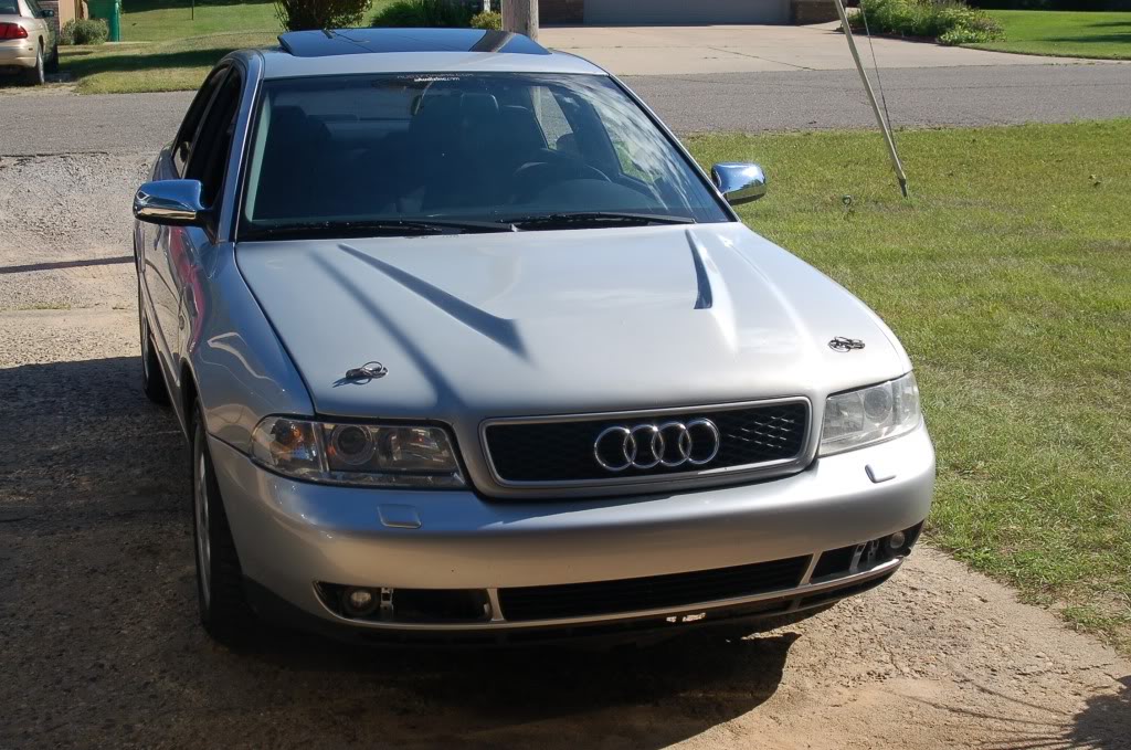 Name:  DSC_0290.jpg
Views: 21
Size:  150.9 KB