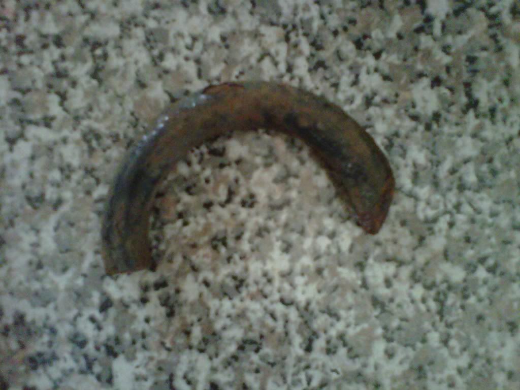 Name:  coil.jpg
Views: 194
Size:  78.8 KB