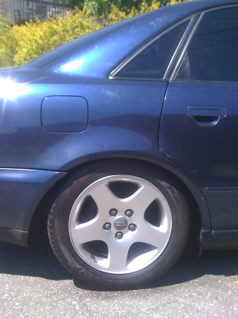 Name:  IMG_0313-1.jpg
Views: 276
Size:  105.1 KB