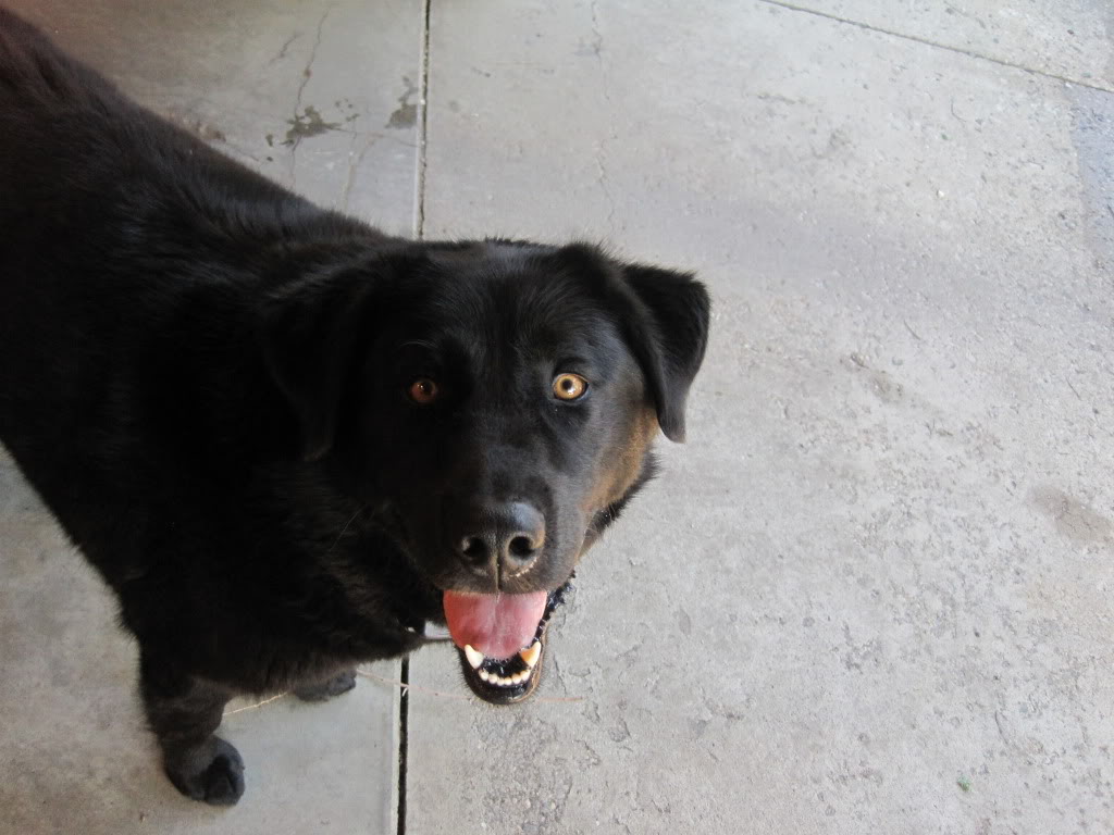 Name:  43dfbb62.jpg
Views: 58
Size:  109.6 KB