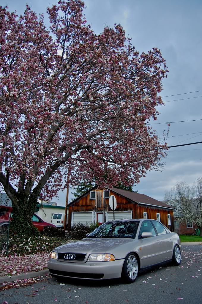 Name:  pink-2.jpg
Views: 65
Size:  253.1 KB