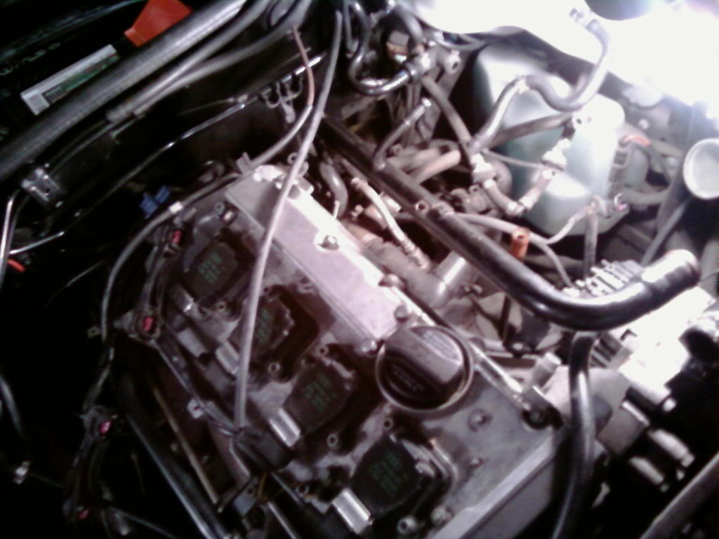 Name:  8a1fa585.jpg
Views: 32
Size:  89.4 KB