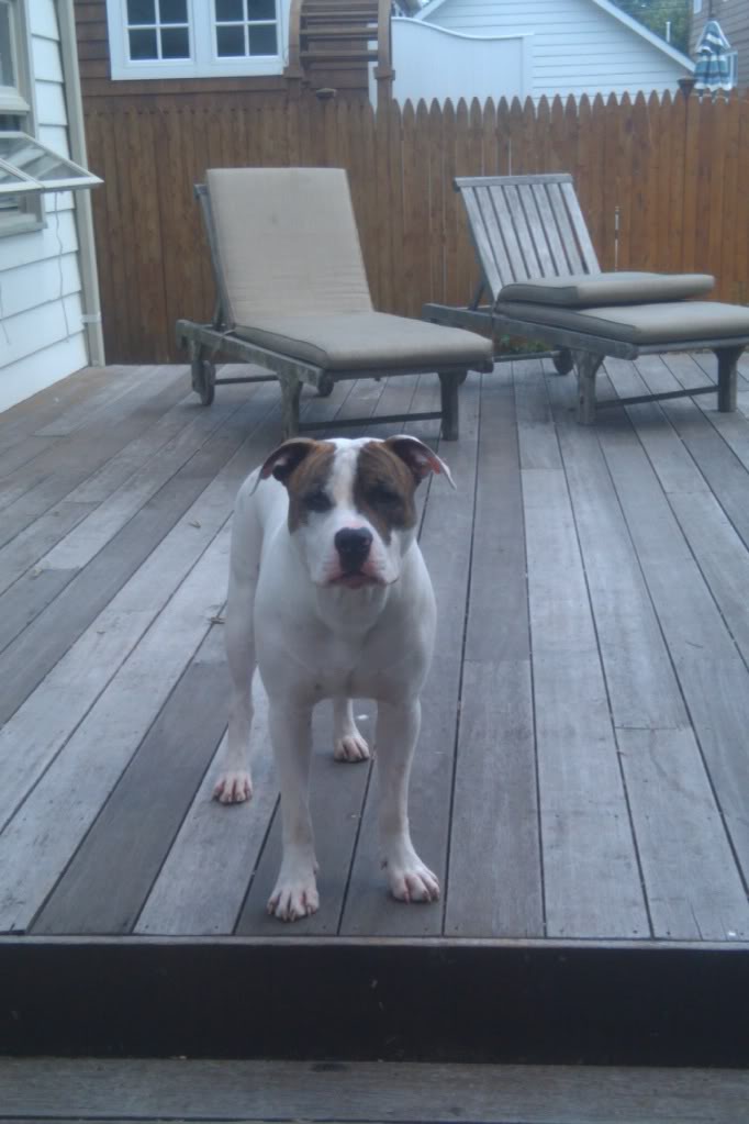 Name:  1fe6e7fd.jpg
Views: 62
Size:  67.7 KB