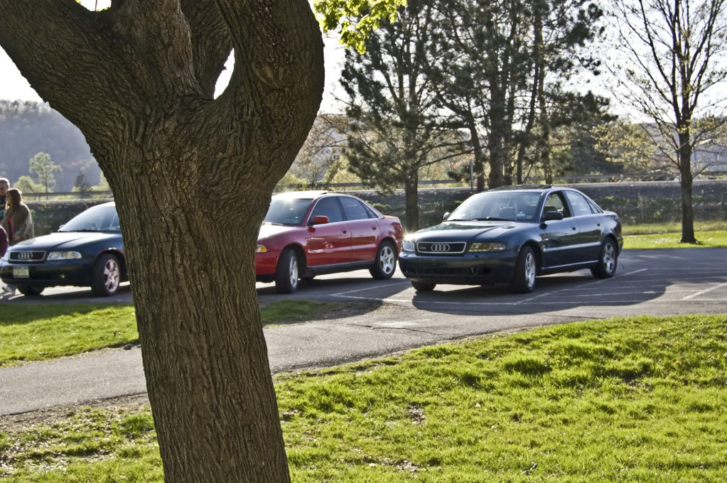 Name:  DSC_0036.jpg
Views: 33
Size:  232.3 KB