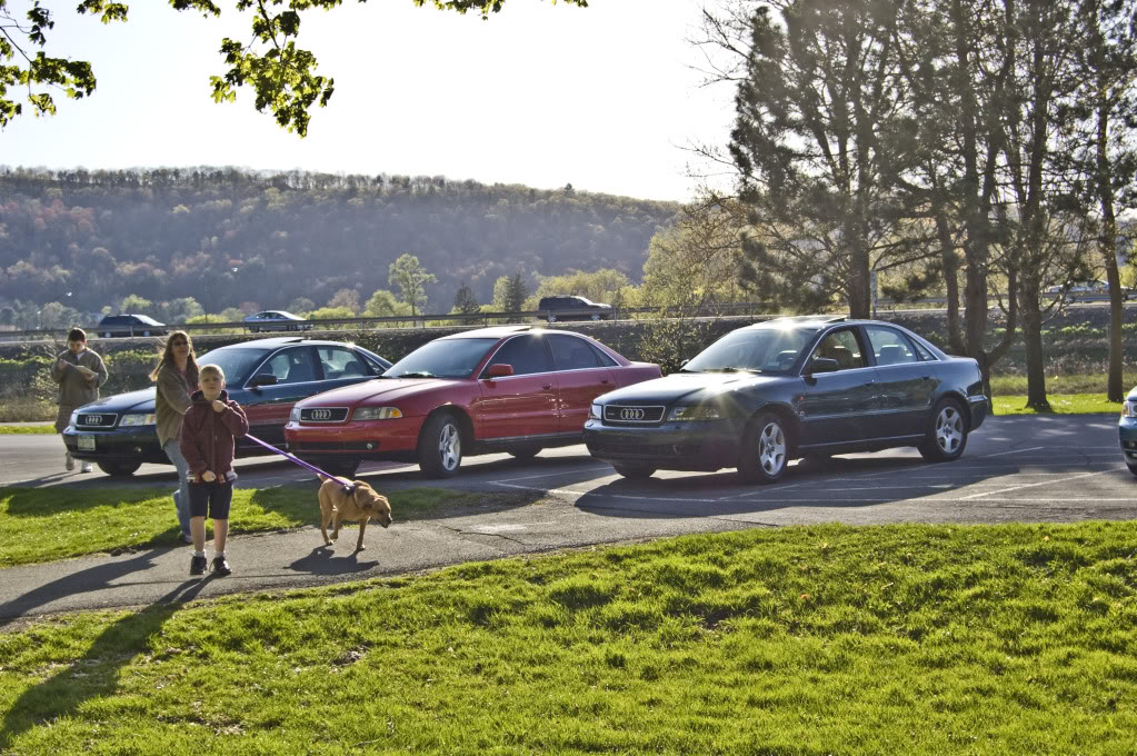 Name:  DSC_0037.jpg
Views: 80
Size:  232.8 KB