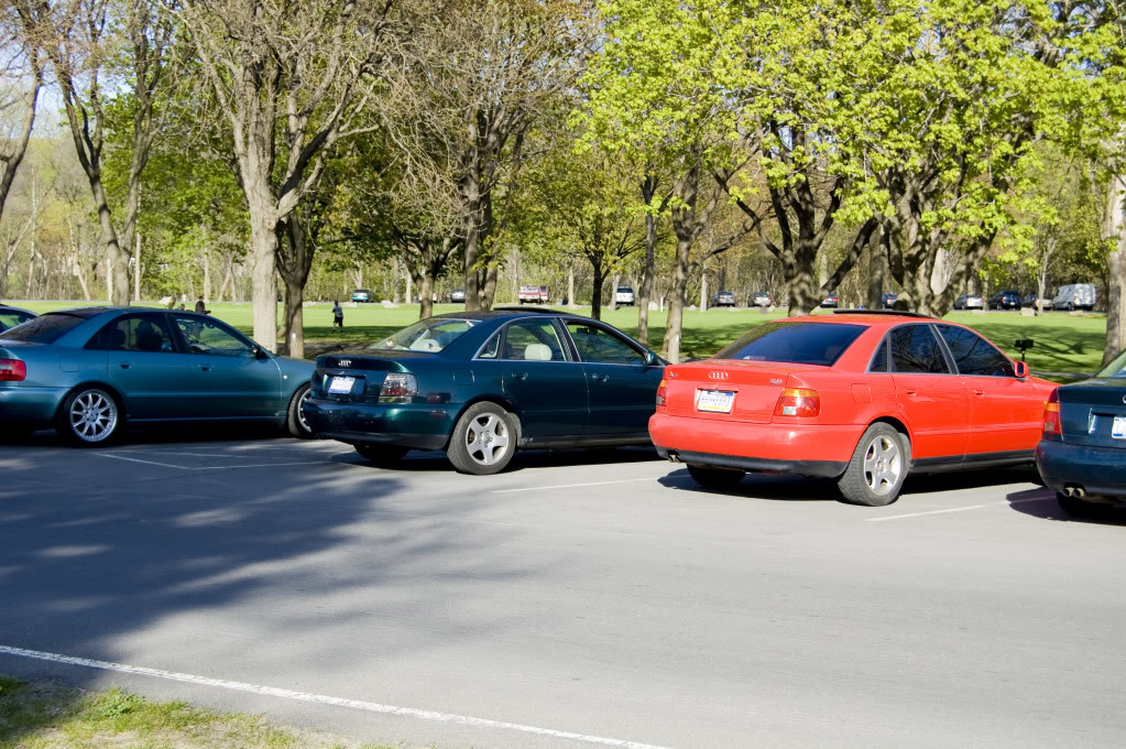 Name:  DSC_0026.jpg
Views: 84
Size:  229.9 KB