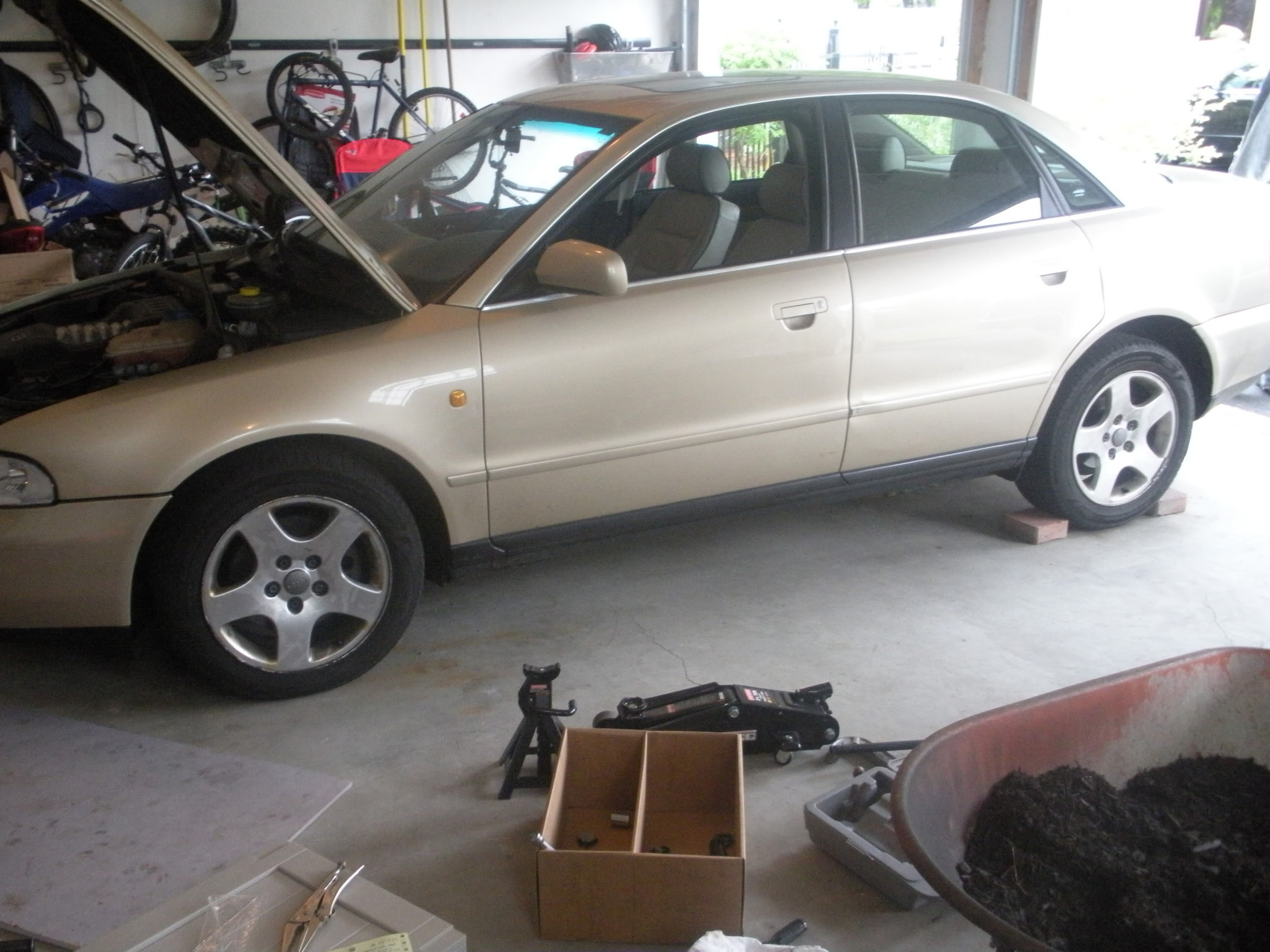 Name:  DSCN0451.jpg
Views: 157
Size:  524.6 KB