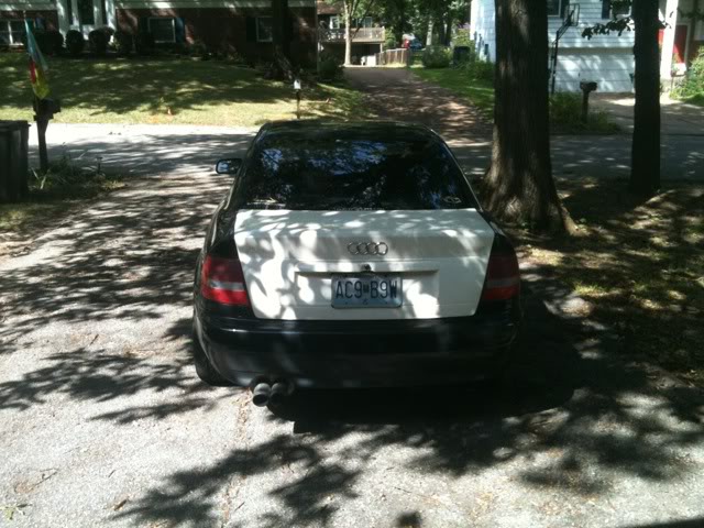 Name:  photo-1-1.jpg
Views: 88
Size:  78.2 KB