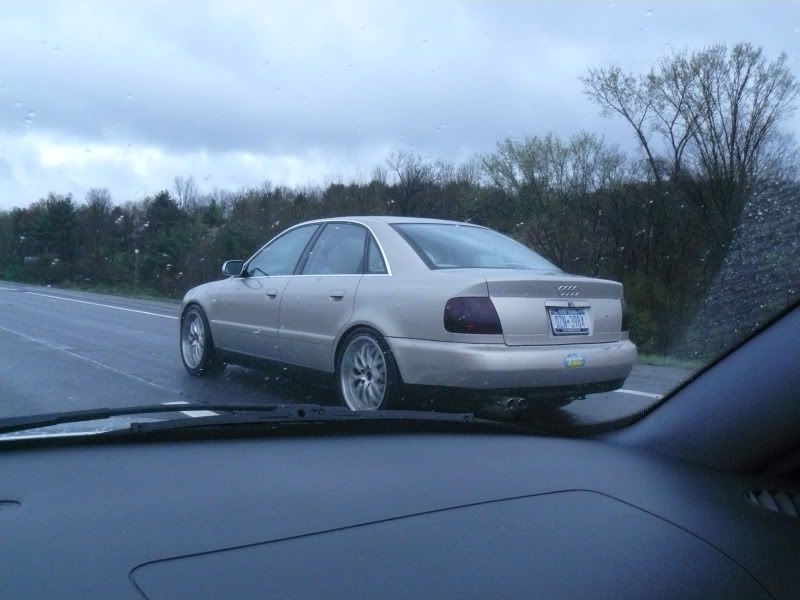 Name:  P1020951.jpg
Views: 220
Size:  90.5 KB