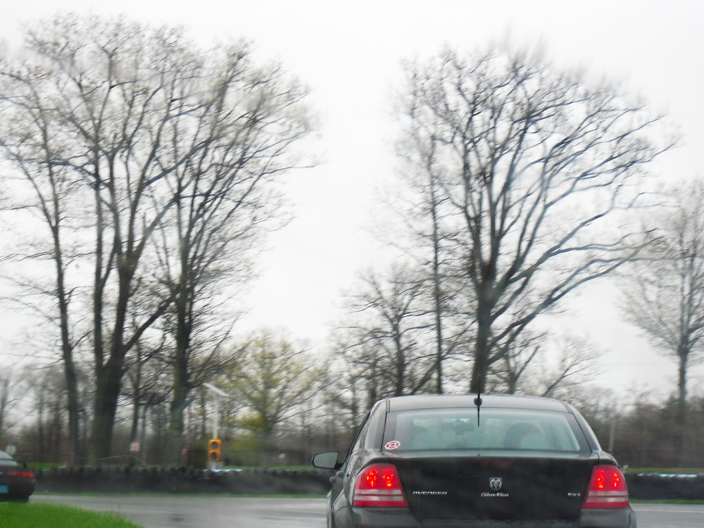 Name:  CIMG07961.jpg
Views: 35
Size:  159.8 KB