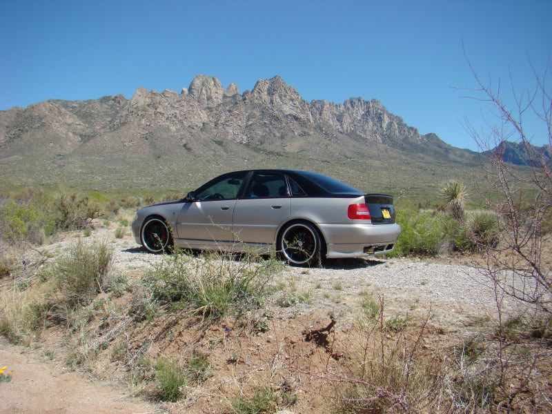 Name: AudiDessert015.jpg
Views: 124
Size: 157.8 KB