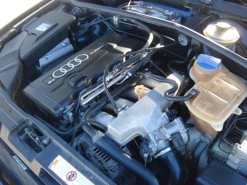 Name:  DSC04146.jpg
Views: 24
Size:  102.0 KB