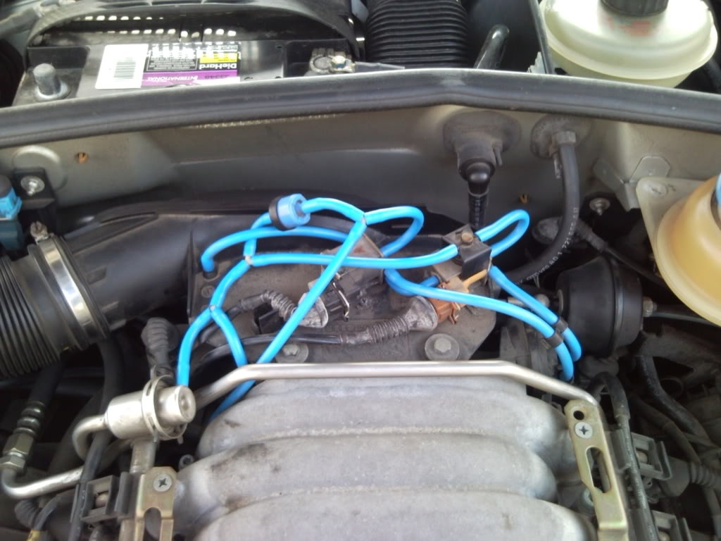 Name:  SNC00304.jpg
Views: 2778
Size:  113.0 KB