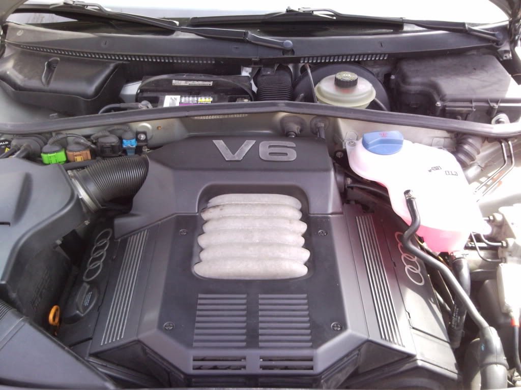 Name:  SNC00306.jpg
Views: 923
Size:  120.6 KB