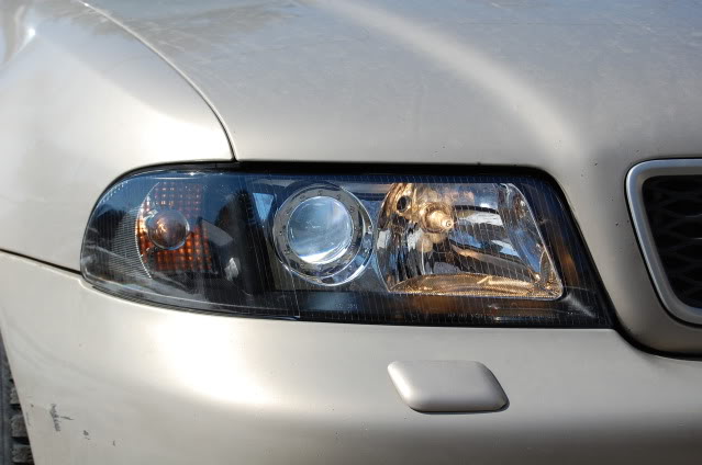 Name:  DSC_0411.jpg
Views: 21
Size:  69.4 KB