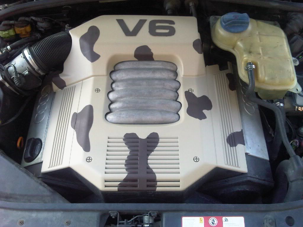 Name:  IMG00537-20100222-1707.jpg
Views: 25
Size:  89.5 KB