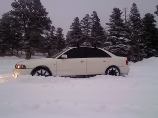 Name:  0203001729a.jpg
Views: 48
Size:  14.1 KB