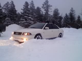 Name:  0203001729.jpg
Views: 46
Size:  13.0 KB