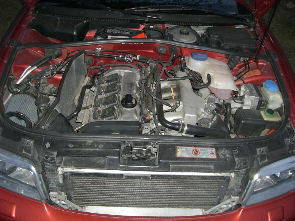 Name: CIMG0917.jpg
Views: 83
Size: 127.8 KB