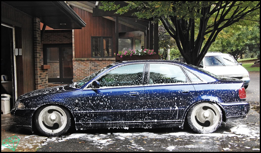 Name:  DSC_0080jjj.jpg
Views: 88
Size:  255.8 KB