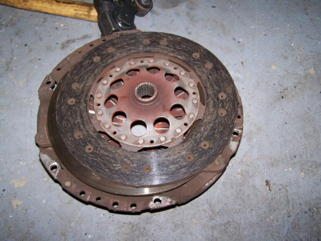 Name:  100_3399.jpg
Views: 145
Size:  103.5 KB