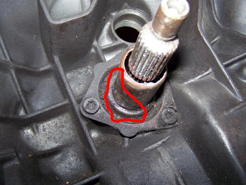 Name:  100_3406.jpg
Views: 181
Size:  150.2 KB