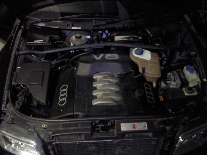 Name: Photo041.jpg
Views: 116
Size: 57.4 KB