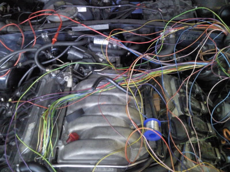 Name: Photo024.jpg
Views: 117
Size: 108.3 KB